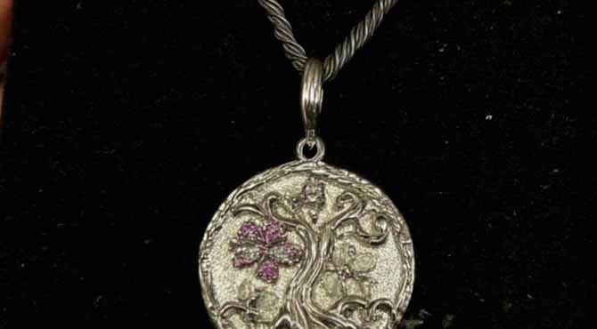 I Was Babysitting My Neighbor’s Daughter When She Asked Why I Had Her Mother’s Necklace – Story of the Day