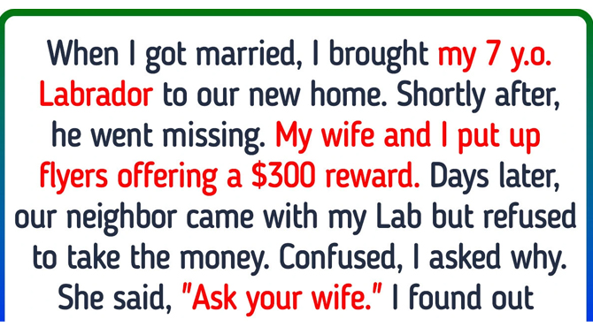 When I got married, I brought my 7-year-old Labrador to our new home….