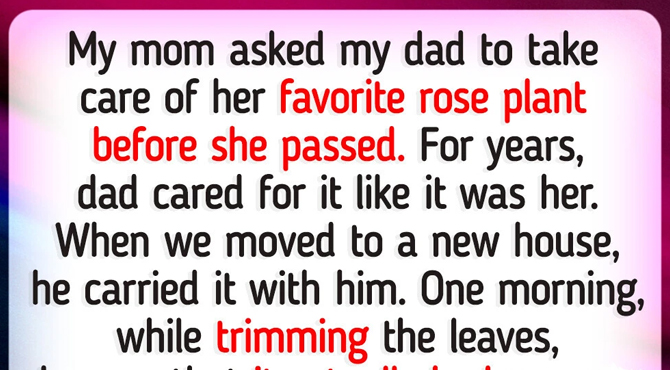 My Dad Kept My Mom’s Last Wish—But It Took an Unexpected Turn