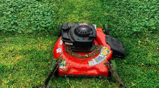 I Mowed My Elderly Neighbor’s Lawn — Days Later, I Was Unexpectedly Handed a Private Jet Ticket