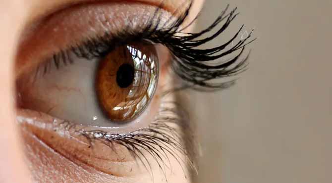 My Husband Bullied Me over My ‘Wrinkled Face’ and Gray Hair – He Regretted It Instantly