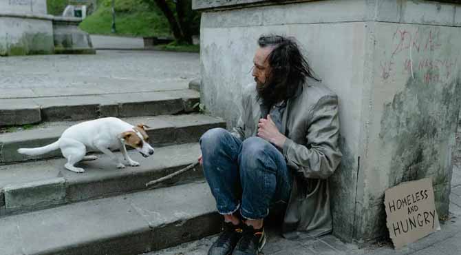 I Gave Food to a Hungry Veteran and His Dog – a Month Later, My Boss Dragged Me into His Office, Furious, and My Whole Life Flipped Upside Down