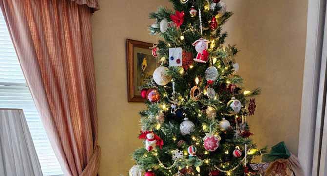 My Mother-in-Law Sent Us a Christmas Tree and Insisted We Decorate It for the Holiday—I Was Such a Fool for Listening to Her