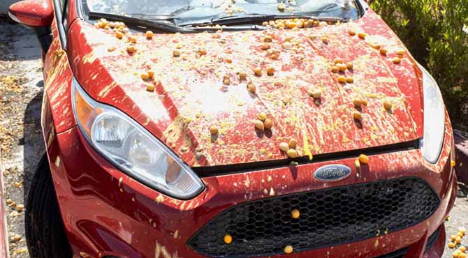 My Neighbor Egged My Car for Blocking the View of His Halloween Display โ so I Prepared a โSurpriseโ He Wonโt Forget