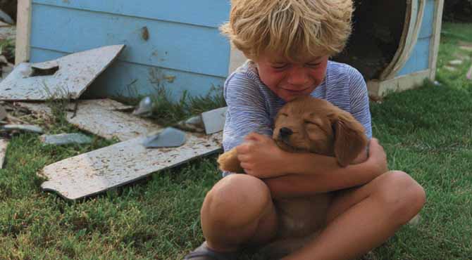 Our Neighbor Destroyed My Sonโs Puppyโs House โ Karma Was Faster than Me