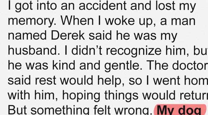 After I Lost My Memory, a Stranger Claimed to Be My Fiancรฉ, but I Didnโt Suspect Anything Until My Dogโs Odd Reaction Made Me Doubt Him โ Story of the Day