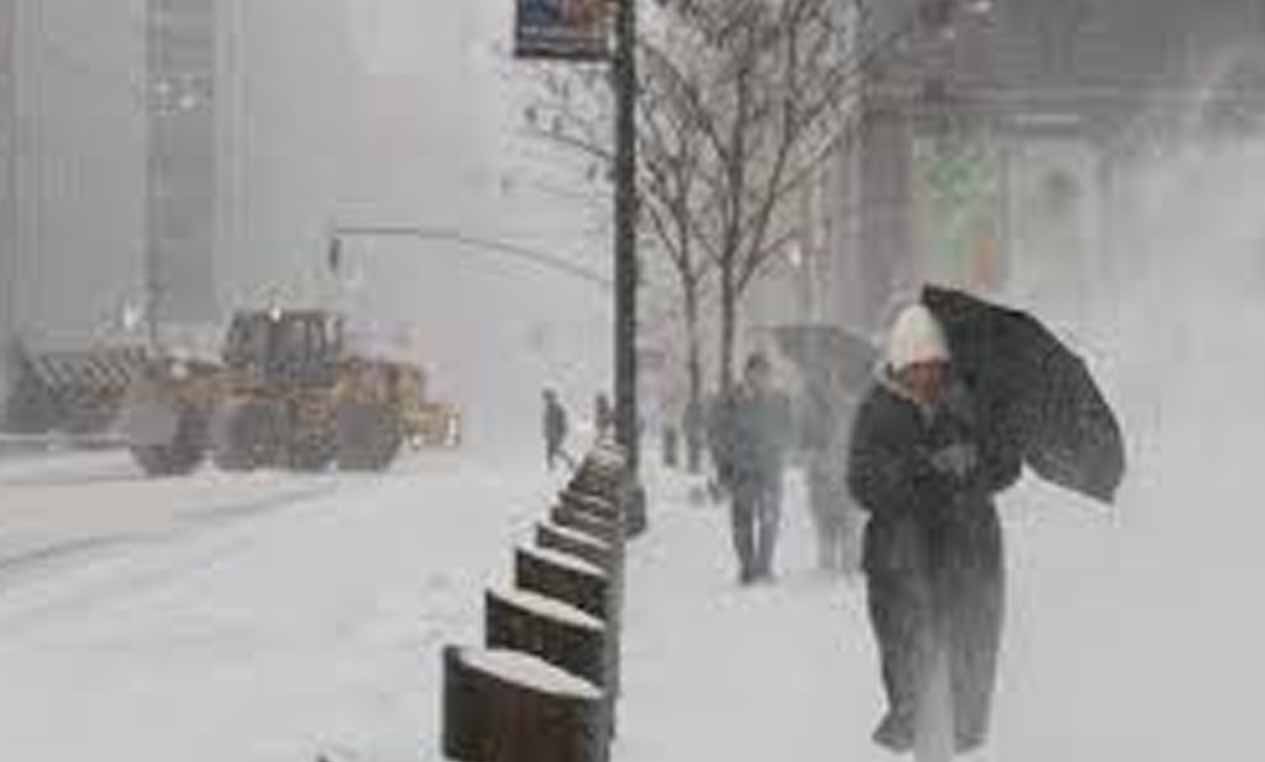 I Saved a Man in a Snowstorm – Weeks Later, He Walked in as the Judge
