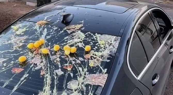 My Neighbor Threw Eggs at My Car Because It Was ‘Blocking the View’ of His Halloween Decorations