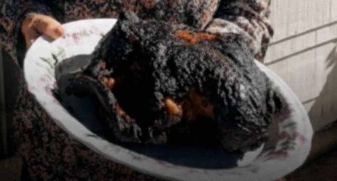 My Neighbor’s Cooking Is a Disaster – but One Comment from Her Husband Turned My World Upside Down