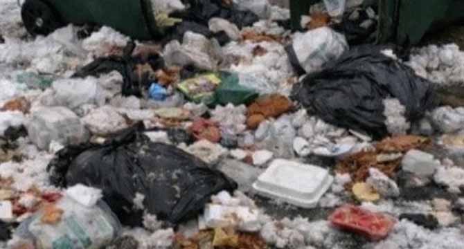 Entitled Neighbor Kept Knocking over My Trash Bins and Scattering Garbage on My Lawn – So I Taught Him Not to Mess with a Single Mom