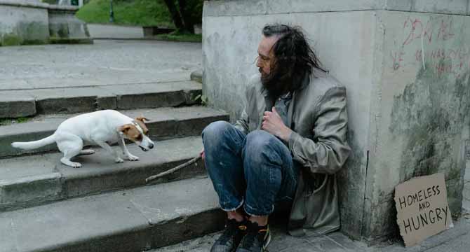 I Gave Food to a Hungry Veteran and His Dog – a Month Later, My Boss Dragged Me into His Office, Furious, and My Whole Life Flipped Upside Down