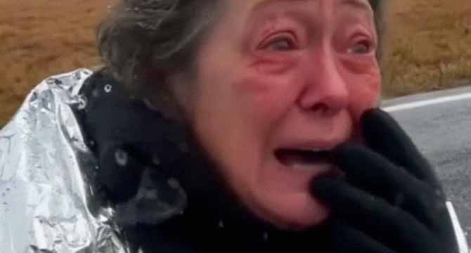 I Stopped to Help an Elderly Woman After Her Car Crashed โ Two Days Later, My Whole Life Changed