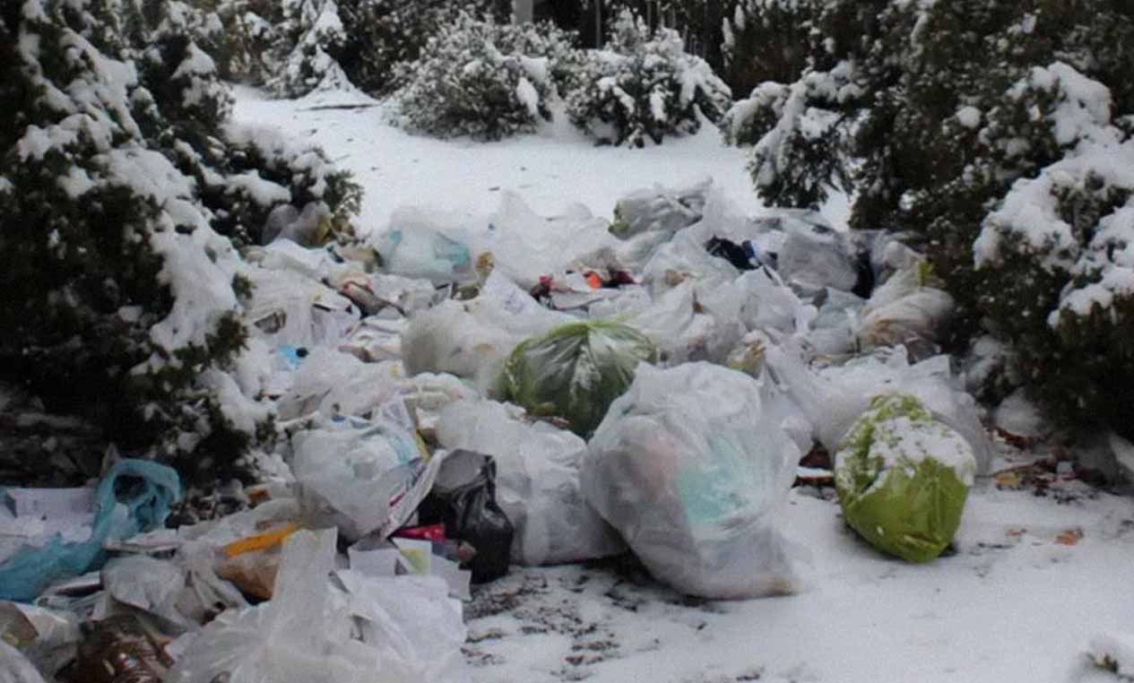 My Neighbor Turned My Garden Into Her Dumpster—so I Brought Her a ‘Gift’ She’ll Never Forget