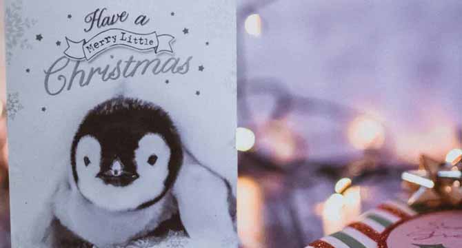 I Sent Out Christmas Postcards This Year โ Soon After, I Received a Text Saying, โHon, Thatโs Not Your Hubby in the Pic!โ