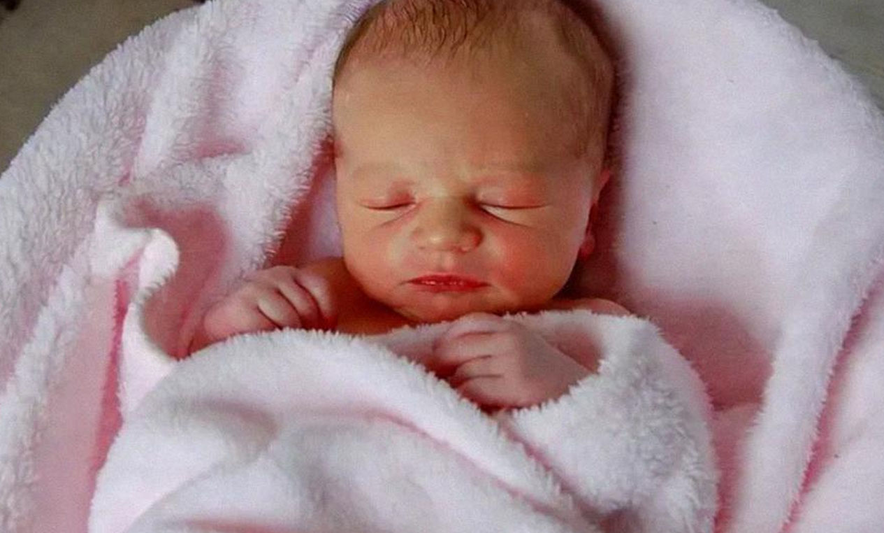 My MIL Urged Me to Become a Surrogate for Her – Days After Birth, a Lawyer Brought the Baby Back to My Doorstep