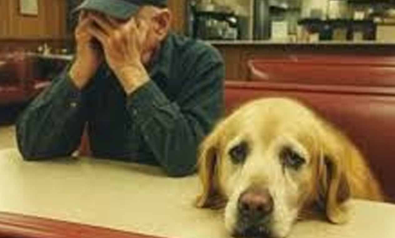 I Gave a Free Dinner to a Broke Old Man – the Next Morning, Something on My Door Made My Heart Stop