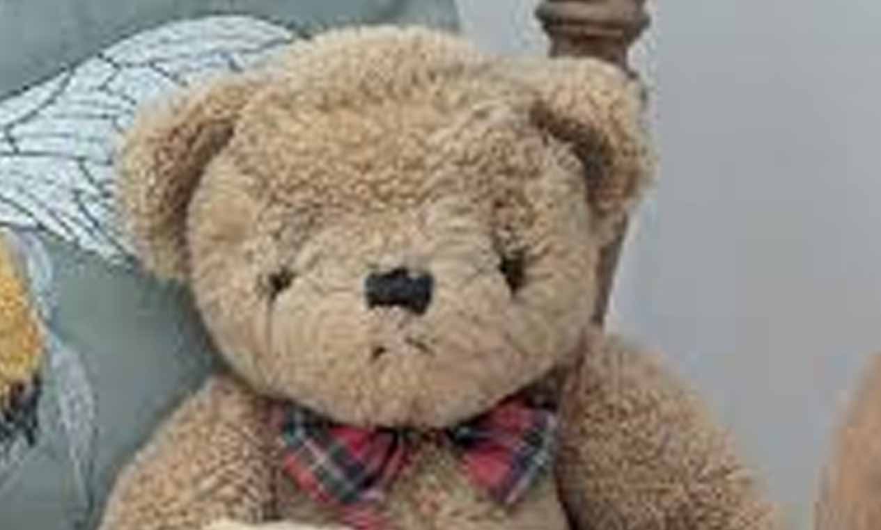 I Bought My Daughter a Teddy Bear at a Flea Market โ After She Died, I Discovered What She Had Hidden Inside