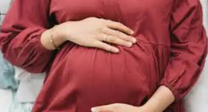 My Sister Announced Her Pregnancy at Sunday Dinner โ Ten Minutes Later, I Saw Her Secretly Unzip Her Fake Baby Bump