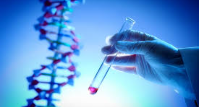 My Husband Refused a DNA Test for Our Daughter’s School Project — So I Did It Behind His Back, and the Results Made Me Call the Police