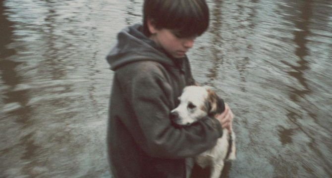 A Teenager Jumped Into a River to Save a Dog – The Next Morning, a Black SUV Pulled up to His House