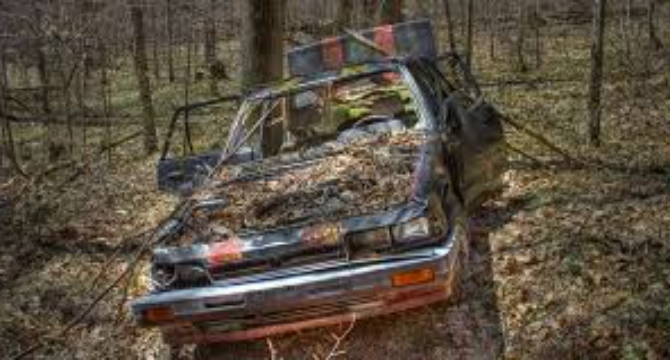 I Found an Old Abandoned Car in the Middle of the Forest – When I Opened the Trunk, I Went Into Shock