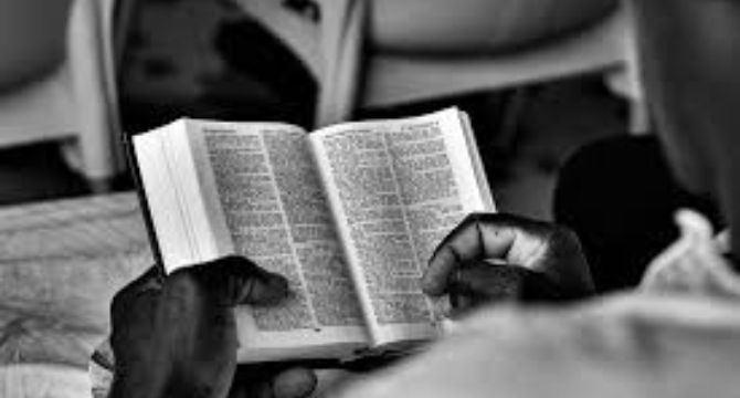 My Mother Kept One Phone Number Tucked Inside Her Bible for More than Forty Years, and Last Week I Finally Called It