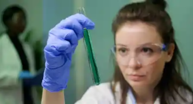 My Stepdaughter Took a DNA Test for Fun โ But One Line in the Results Changed Everything in My Family