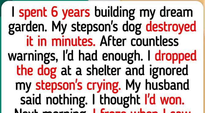 12 Moments That Teach Us Kindness Still Wins in the End