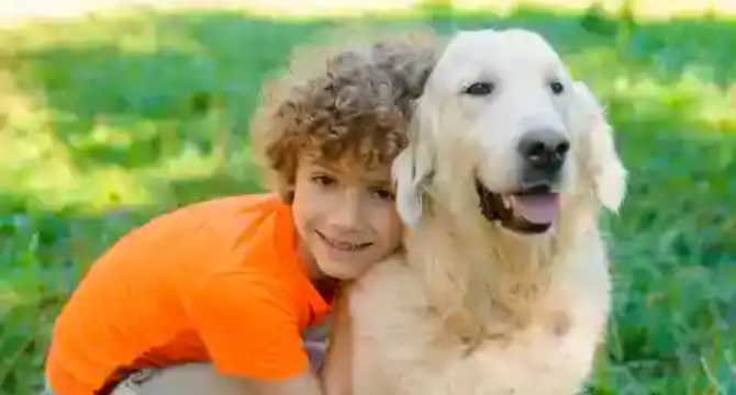 My MIL Snuck My 5-Year-Old Son Out of Kindergarten to Shave His Golden Curls – What My Husband Handed Her at Sunday Dinner Made Her Jaw Drop