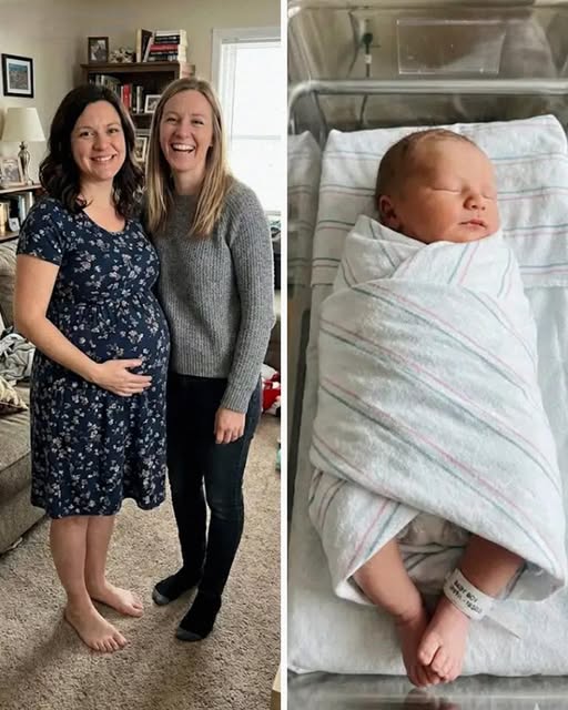 The Intended Mother Refused to Take the Baby I Carried for Her – The Reason Nearly Destroyed Three Families