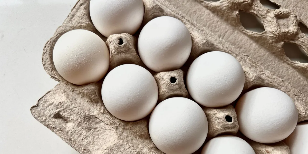 19 Million Eggs Sold Under Several Major Brands Recalled Over Salmonella Risk — Here’s Which Ones