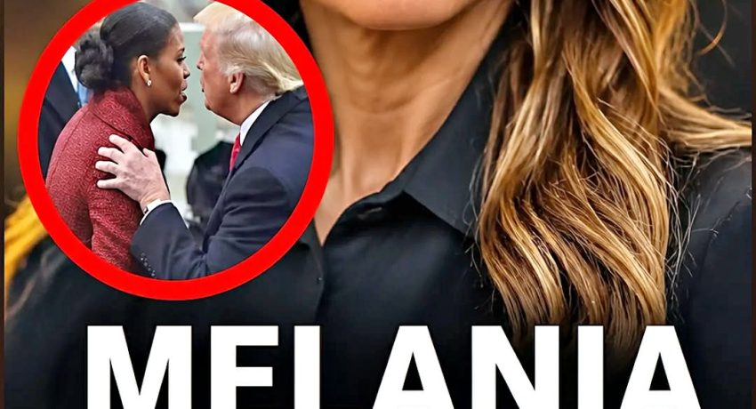Melania Trump made the accusation ahead of her husband Trump’s ina:uguration earlier this year